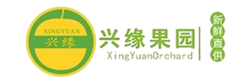 縣委常委等領導視察我司金柚自動化建設-梅州市興緣農業(yè)發(fā)展有限公司