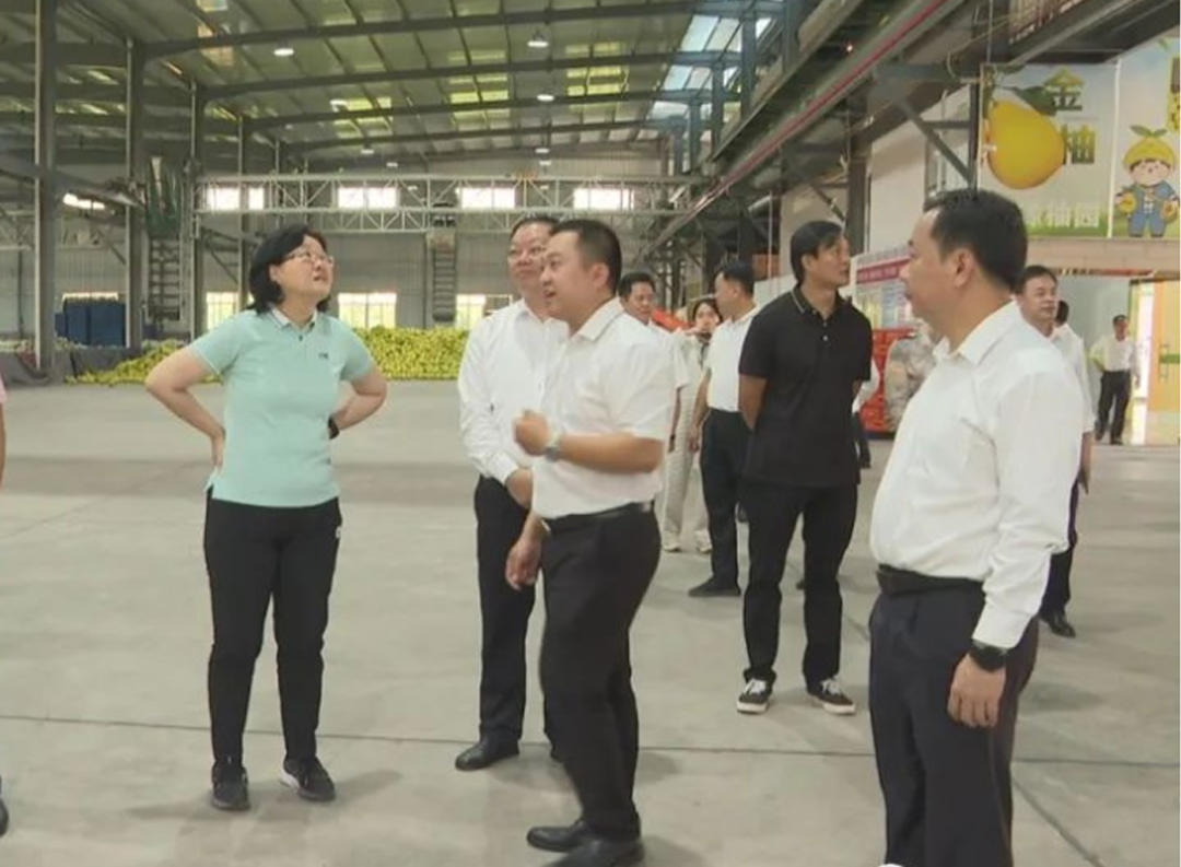 微信圖片_20250318124620.png